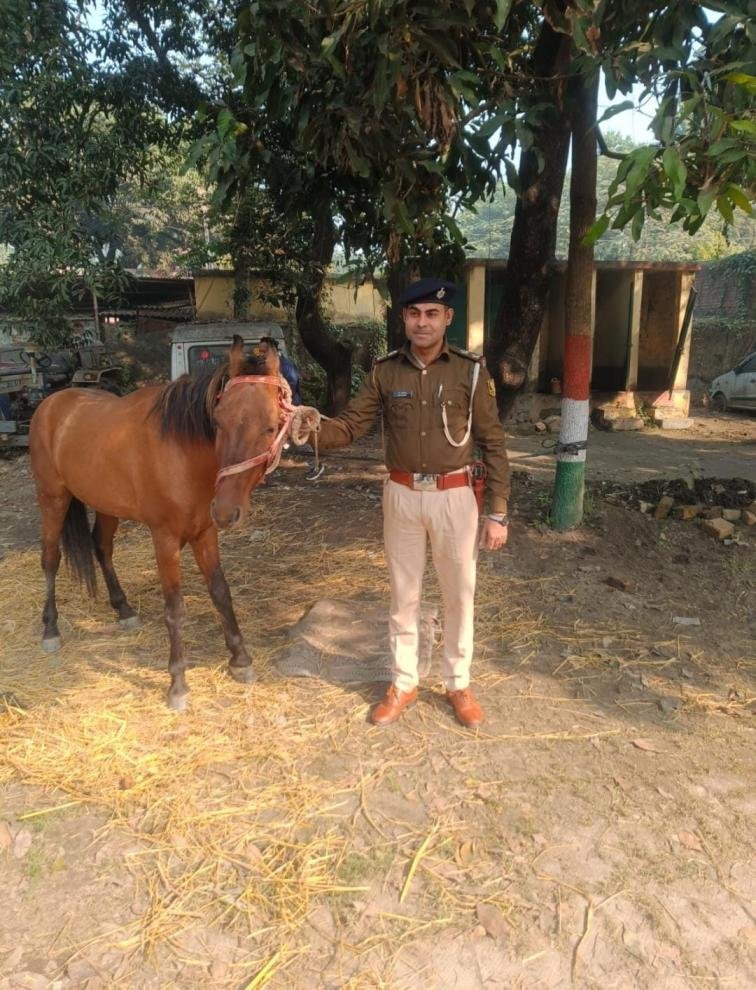 Bihar_News_Today_Liquor_Smuggler_Arrested_AlongWith_Liquor_And_Horse_In_Betiya.jpg