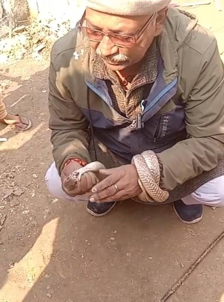 Bihar_News_Today_teacher_was_making_a_reel_after_catching_a_snake_died_due_to_make_bite_in_shivhar.jpg