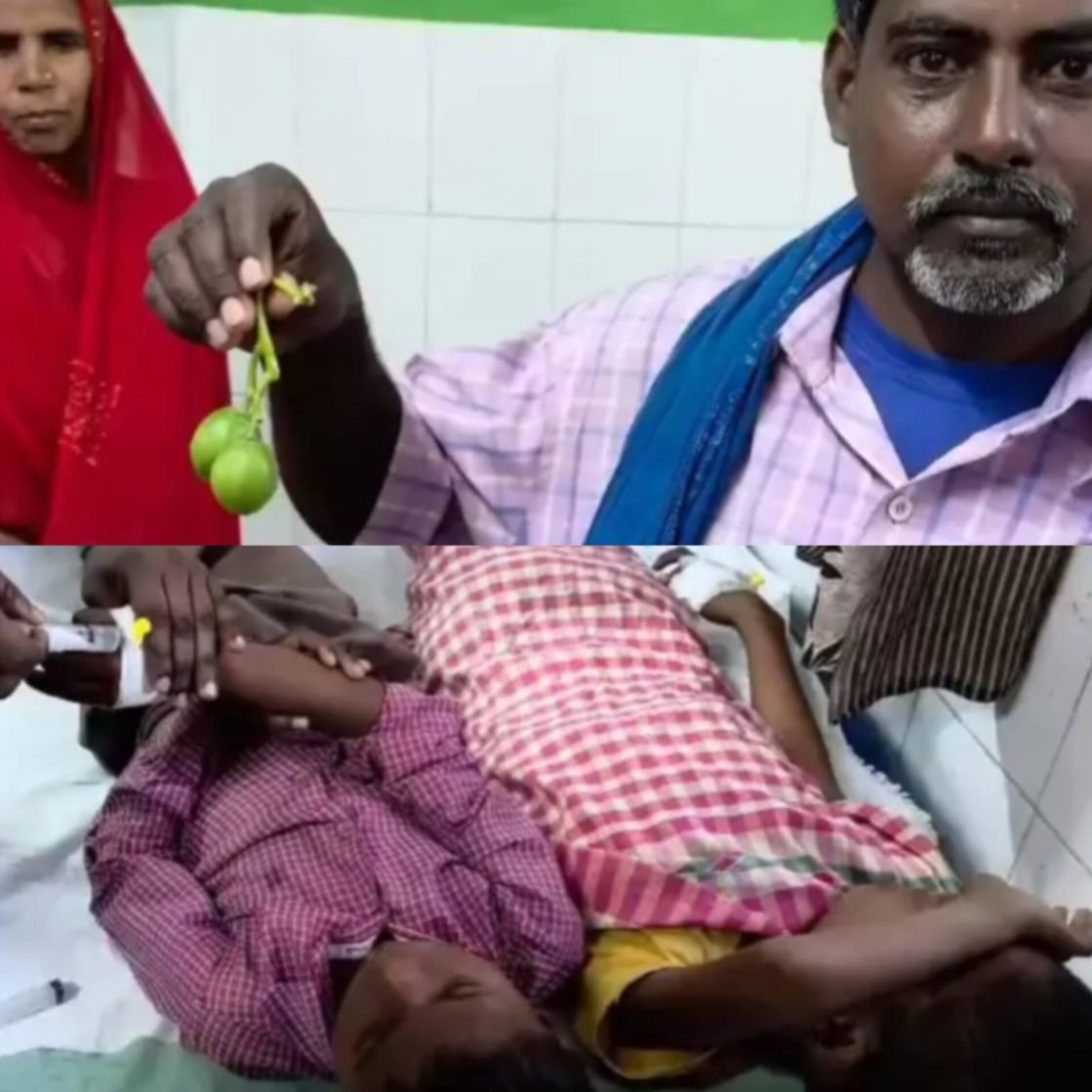 Bihar_News_Today_8_Child_Fell_Sick_After_Eating_Jatropha_Fruit_In_Bhabhua.jpg