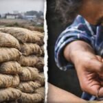 BiharNewsToday_Patna_Drug_Trafficking_Bihar