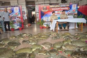 BiharNewsToday_Patna_patna-rail-police-turtle-smuggling