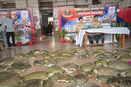 BiharNewsToday_Patna_patna-rail-police-turtle-smuggling
