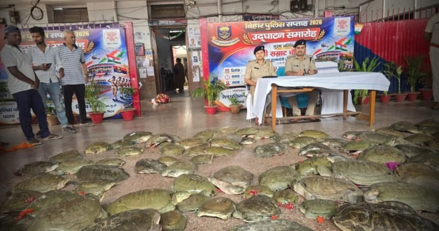 BiharNewsToday_Patna_patna-rail-police-turtle-smuggling