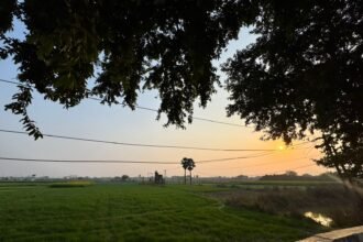 WhatsApp Image 2026-03-17 at 11.33.24 AM