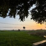 WhatsApp Image 2026-03-17 at 11.33.26 AM