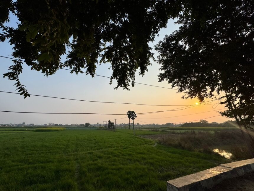 WhatsApp Image 2026-03-17 at 11.33.26 AM