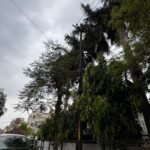 WhatsApp Image 2026-03-21 at 11.36.36 AM