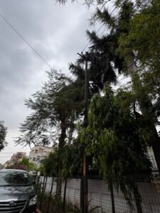 WhatsApp Image 2026-03-21 at 11.36.36 AM