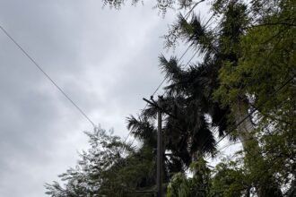 WhatsApp Image 2026-03-21 at 11.36.36 AM