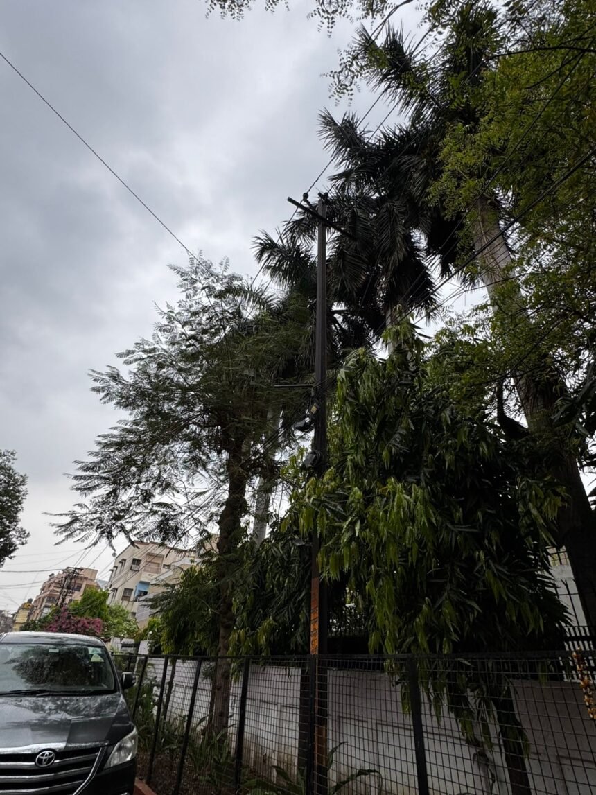 WhatsApp Image 2026-03-21 at 11.36.36 AM