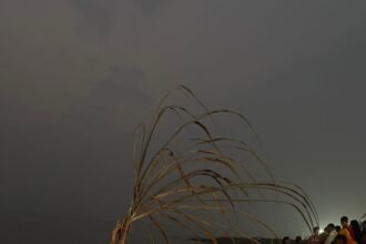 WhatsApp Image 2026-03-21 at 11.51.37 AM (1)