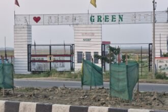 green city nayagaon
