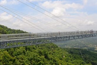 rajgir-glass-bridge-bihar-1