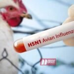 BiharNewsToday_Patna_Avian Influenza