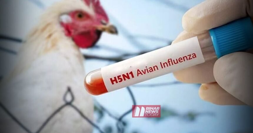 BiharNewsToday_Patna_Avian Influenza