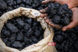 BiharNewsToday_Patna_Cooking Coal
