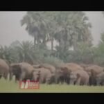 BiharNewsToday_Patna_Nawada_News