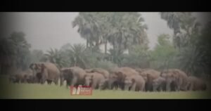 BiharNewsToday_Patna_Nawada_News