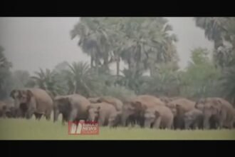 BiharNewsToday_Patna_Nawada_News