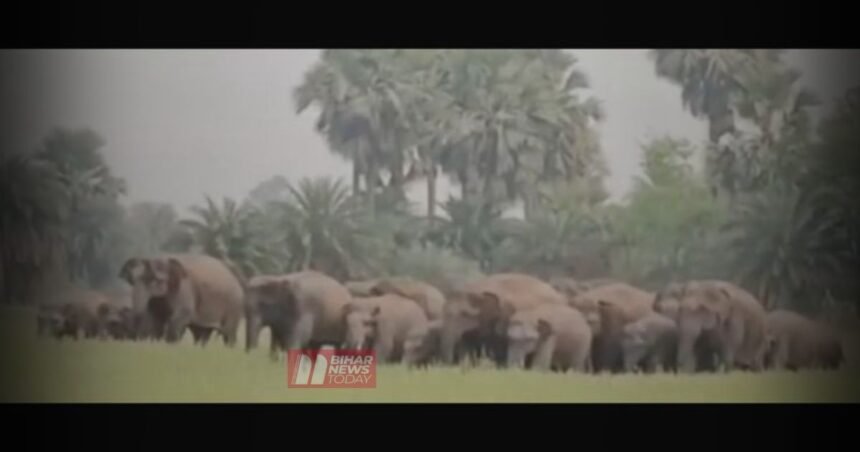 BiharNewsToday_Patna_Nawada_News