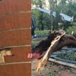BiharNewsToday_Patna_Bapu Tower and Zoo Closed
