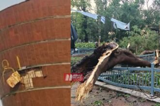 BiharNewsToday_Patna_Bapu Tower and Zoo Closed