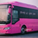 BiharNewsToday_Patna_pink bus