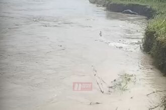BiharNewsToday_kosi river (1)