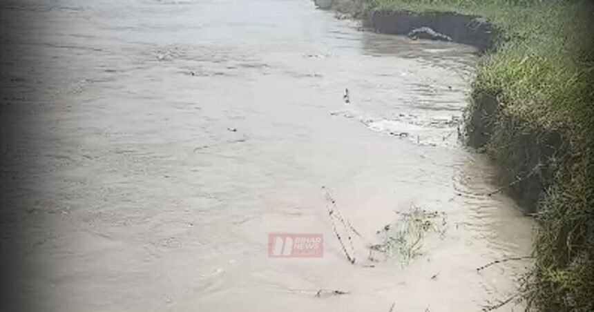 BiharNewsToday_kosi river (1)