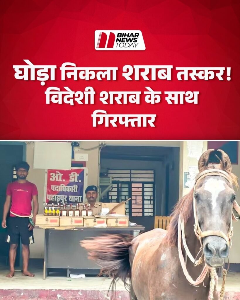 horse smuggler