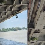 BiharNewsToday_Hajipur Sonepur Bridge