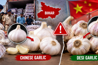 Bihar News: Seizure of suspected Chinese garlic sparks alarm in Bihar; know how to identify it and the essential safety facts before buying.