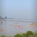 BiharNewsToday_saran flood