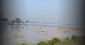 BiharNewsToday_saran flood