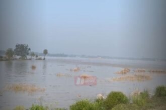 BiharNewsToday_saran flood